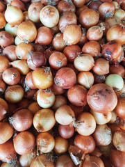 heap of fresh onions at farmers food market