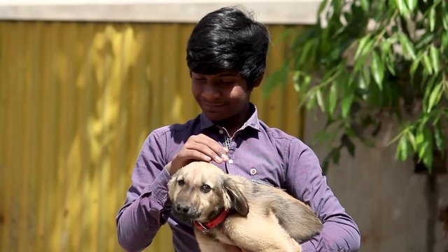 Young Indian kid playing with a puppy 