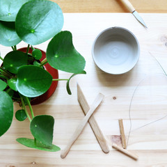 A craftsman pottery table with plant and tools