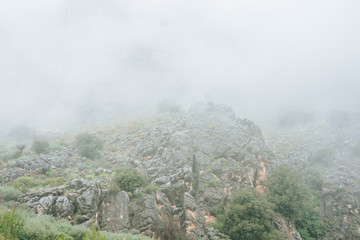 ..Mountain in the fog rain time in Turkey