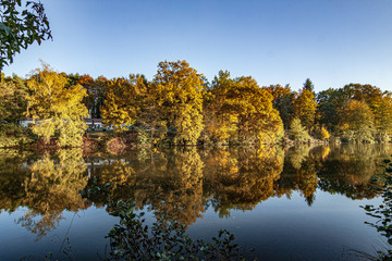 Herbstzauber-Jägersburger Weiher/Saarland-Germany