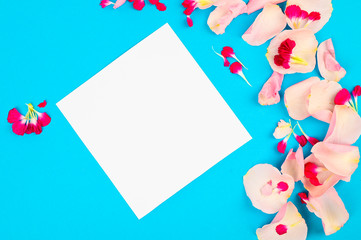 Creative layout with pink petals on a blue background. Blank card. Copy space for text.