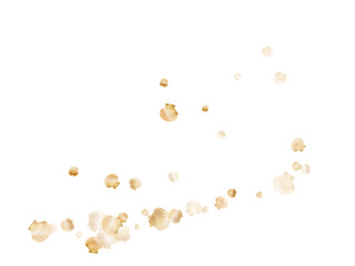 Gold seashells vector, golden pearl bivalved mollusks.