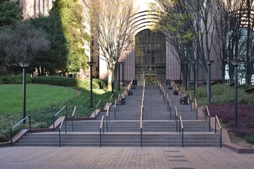Stairs and shaded landscaping during Spring