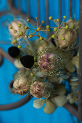Flower arrangement with nigella and hydrangea
