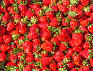 Strawberry. Fresh ripe organic berries. Fruit background