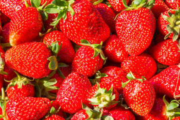 Strawberry. Fresh ripe organic berries, macro. Fruit background