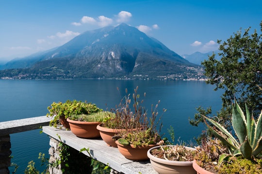 Plants in terracotta pots with Lake Como, Italy in background