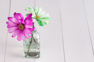 Pink and Green Daisies in Vase on White Wood Table