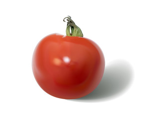 プチトマト　リアルより美しいアイコン　影が透明でどんな背景でも使いやすい