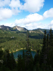Fototapeta na wymiar Mount Rainier National Park, Washington