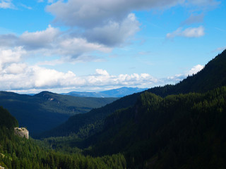 Fototapeta premium Mount Rainier National Park, Washington