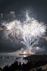 Pyrotechnics explode in the skies over English Bay during an annual fireworks competition in Vancouver, British Columbia.