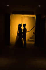 bride and groom post with silhouette view