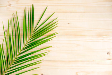 Closeup palm leaf on wooden background. Frame for banner, greeting card, special offer, tourist tour. View from above