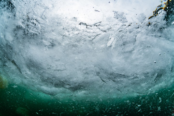 Drift ice diving © divedog