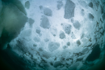 Drift ice diving © divedog
