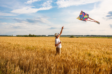 kite in hand against the blue sky in summer, flying kite launching, fun summer vacation, under the field, freedpm concept