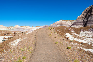 Desert Landscape