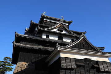 Fototapeta premium 松江城