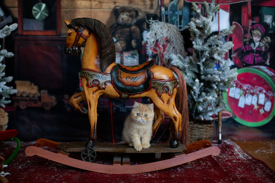 Christmas Kitten On Antique Rocking Horse