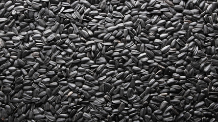 Natural background, texture of sunflower seeds. Close-up