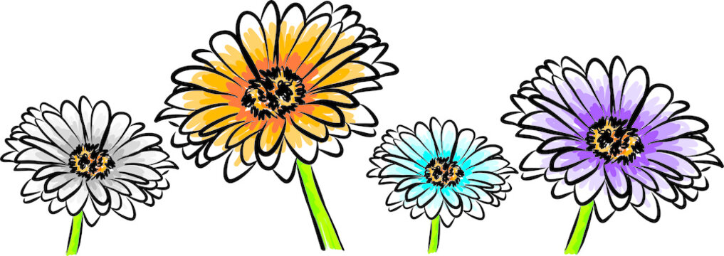 colors flowers spring concept vector illustration