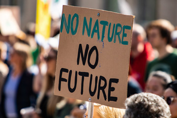 A simple and effective climate change poster is seen during a city rally, saying no nature no...