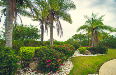 Fototapeta premium a green tropical forest. Pathway in tropical park - abstract travel background.