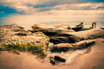 beach at sunset