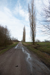 Wilde Natur im März