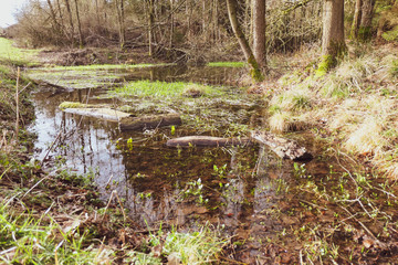 Abenteuer Natur, abseits ausgetretener Pfade