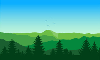 View nature backdrop. Mountain and forest with sky.