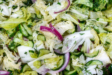 Fresh vegetable salad: Chinese cabbage, cucumbers, red onions, herbs and vegetable oil. Texture