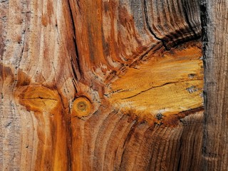 primer plano nudo de madera tabla de pino