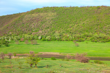 Fototapeta na wymiar green valley and hill with river