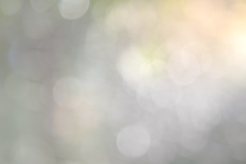 Obraz premium Blurred Abstract nature light bokeh background. Blurred background. Spring background. Soft focus background.