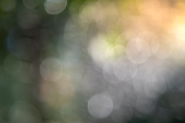 Blurred Abstract nature bokeh background. Blurred blackground.