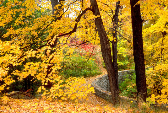 Curved wall River Road Minneapolis.