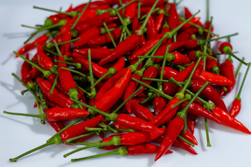 Chili Pepper, native to the tropical regions of the Americas
