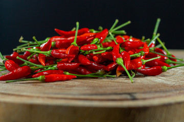 Chili Pepper, native to the tropical regions of the Americas