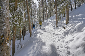 Winter hikers at Johnston Canyon in Banff National Park, Alberta, Canada