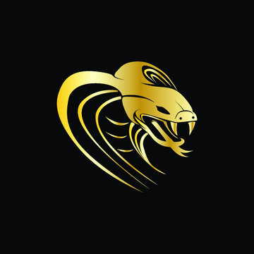 head snake logo vector image