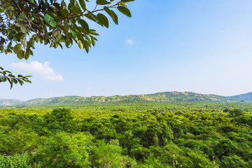 Obraz premium High-angle photos of landscapes of tropical forests in India