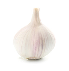 Fresh garlic on white background