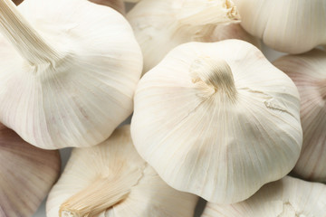 Heap of fresh garlic, closeup