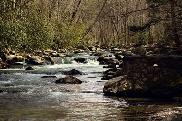 Mountain river in Elkmont
