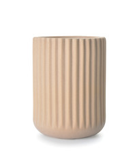 Holder for toothbrushes on white background