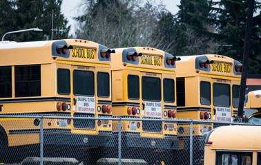 School bus lot #8