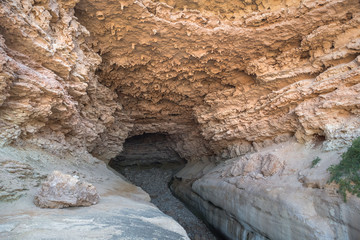 Woolshed Cave, South Australia